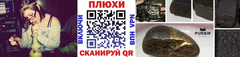ГАШ гарик  Дмитриев 