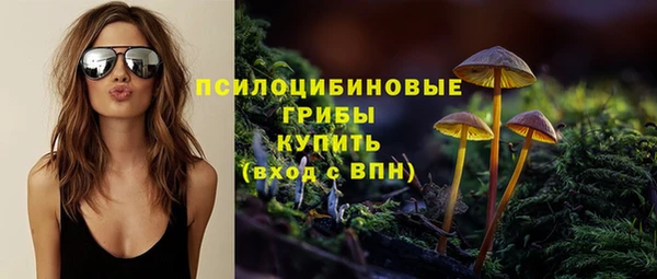 PSILOCYBIN Володарск