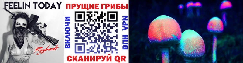 Псилоцибиновые грибы MAGIC MUSHROOMS  где купить наркоту  Дмитриев 